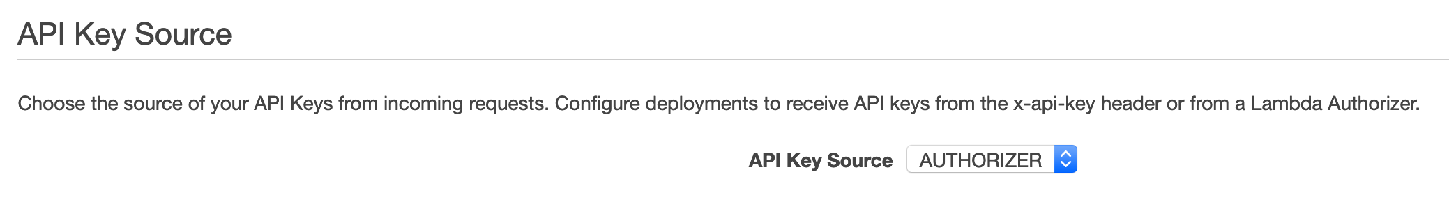 API Key Source Setting